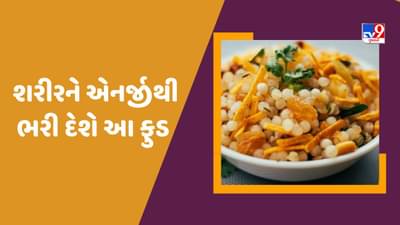 Navratri Foods: નવરાત્રીમાં ખાઓ આ હેલ્ધી ફુડ, દિવસભર રહેશો એનર્જીથી ભરપુર