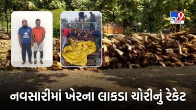 Navsari : વાંસદા વન વિભાગની મોટી કાર્યવાહી, ગેરકાયદે લઈ જવાતા ખેરના લાકડા ઝડપી પાડ્યા, જુઓ Video Navsari : વાંસદા વન વિભાગની મોટી કાર્યવાહી, ગેરકાયદે લઈ જવાતા ખેરના લાકડા ઝડપી પાડ્યા, જુઓ Video
