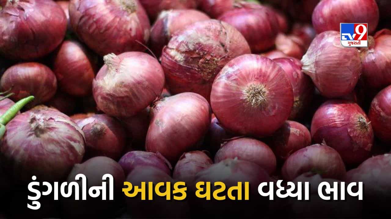 Rajkot : મોંઘી થઇ ગરીબોની ‘કસ્તૂરી’ ! ફરી એકવાર ડુંગળીના ભાવમાં તોતિંગ વધારો, જુઓ Video