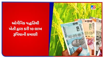 Organic Farming: બ્રિટનથી પરત આવીને શરૂ કરી ઓર્ગેનિક પદ્ધતિથી ખેતી, એક વર્ષમા કરે છે 10 લાખ રૂપિયાથી વધારે કમાણી