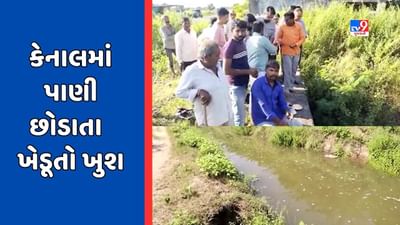 Panchmahal : પાનમ હાઈલેવલની માઈનોર કેનાલમાં પાણી છોડાયું, અણીયાદ ગામના ખેડૂતોએ કર્યા વધામણાં, જુઓ Video Panchmahal : પાનમ હાઈલેવલની માઈનોર કેનાલમાં પાણી છોડાયું, અણીયાદ ગામના ખેડૂતોએ કર્યા વધામણાં, જુઓ Video