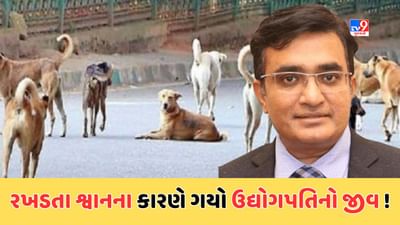 Ahmedabad : જાણીતા ઉદ્યોગપતિ પરાગ દેસાઇનું બ્રેઇન હેમરેજ થયા બાદ થયુ મોત, જુઓ Video Ahmedabad : જાણીતા ઉદ્યોગપતિ પરાગ દેસાઇનું બ્રેઇન હેમરેજ થયા બાદ થયુ મોત, જુઓ Video