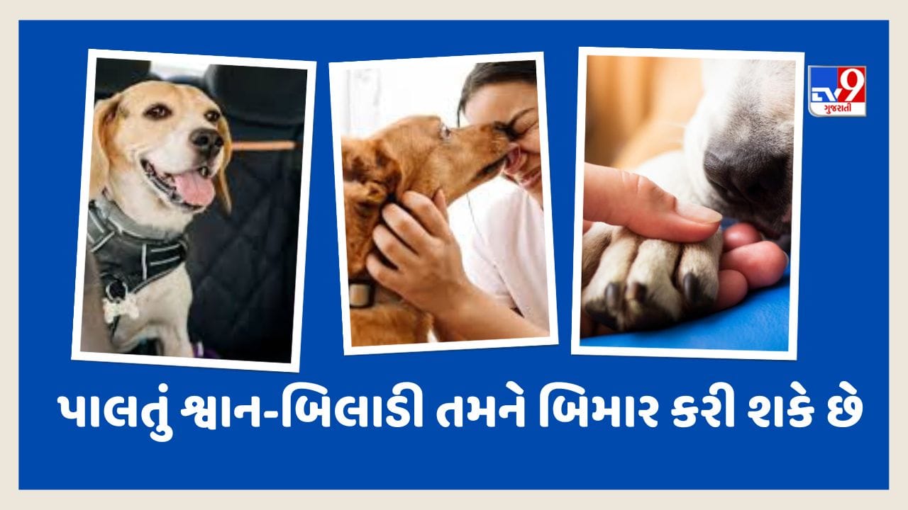 Health Wealth : તમારા પાલતુ કુતરા અને બિલાડીઓ પણ તમને બીમાર કરી શકે છે, જાણો કેવી રીતે? જુઓ Video