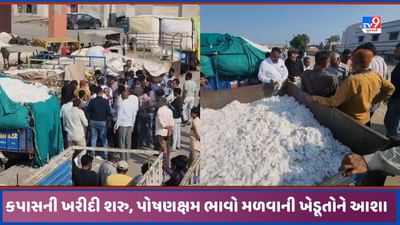 Sabarkantha: હિંમતનગરમાં કપાસની ખરીદી શરુ થઈ, જાણો નવી સિઝનમાં કેટલો બોલાયો ભાવ, જુઓ Video