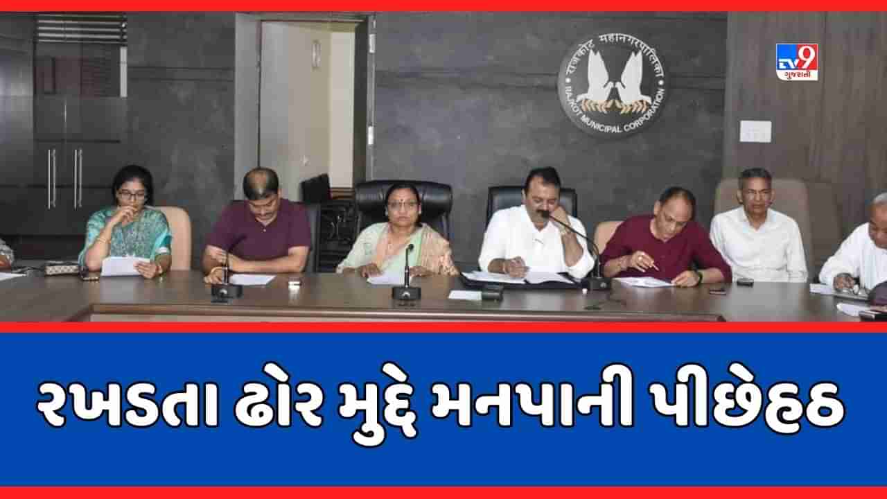 Rajkot: RMCની રખડતા ઢોરના પ્રશ્ને પીછેહઠ, ત્રણ ગણો દંડ વસૂલવાની દરખાસ્ત પેન્ડીંગ રખાઇ