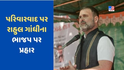 અમિત શાહ અને રાજનાથ સિંહના પુત્રો શું કરી રહ્યા છે? પરિવારવાદના સવાલ પર રાહુલ ગાંધીનો BJP પર વાર