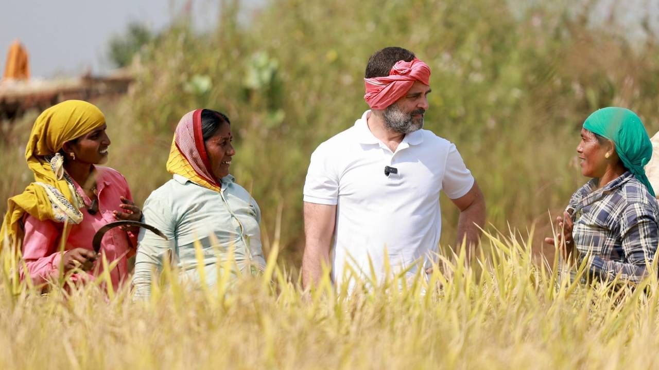 Rahul Gandhi in farm (2)