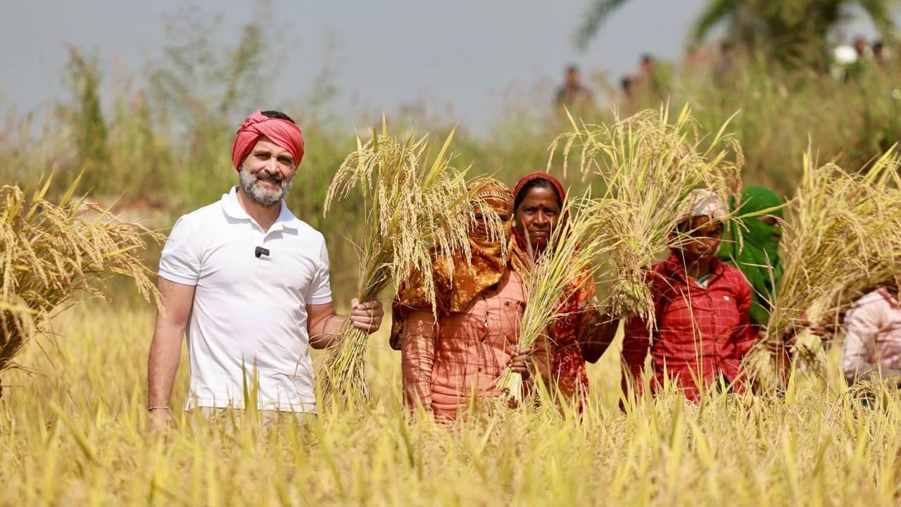 Rahul Gandhi in farm (5)