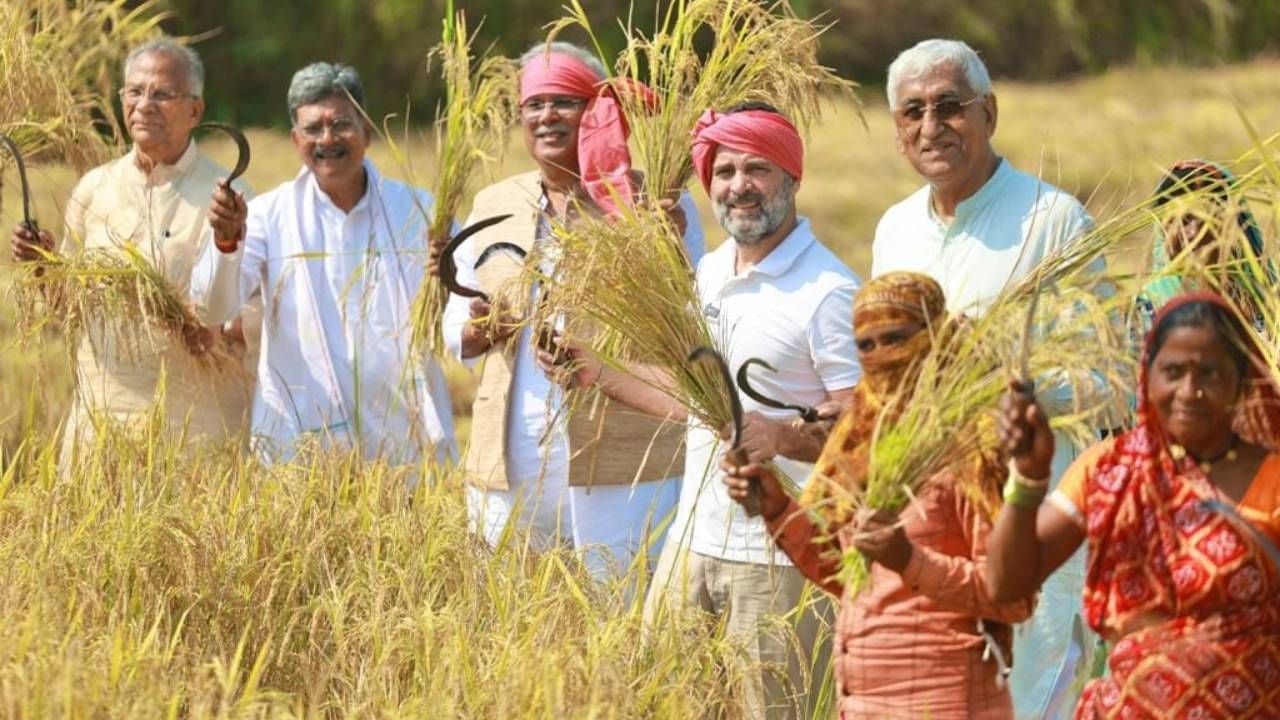 Rahul Gandhi in farm (6)
