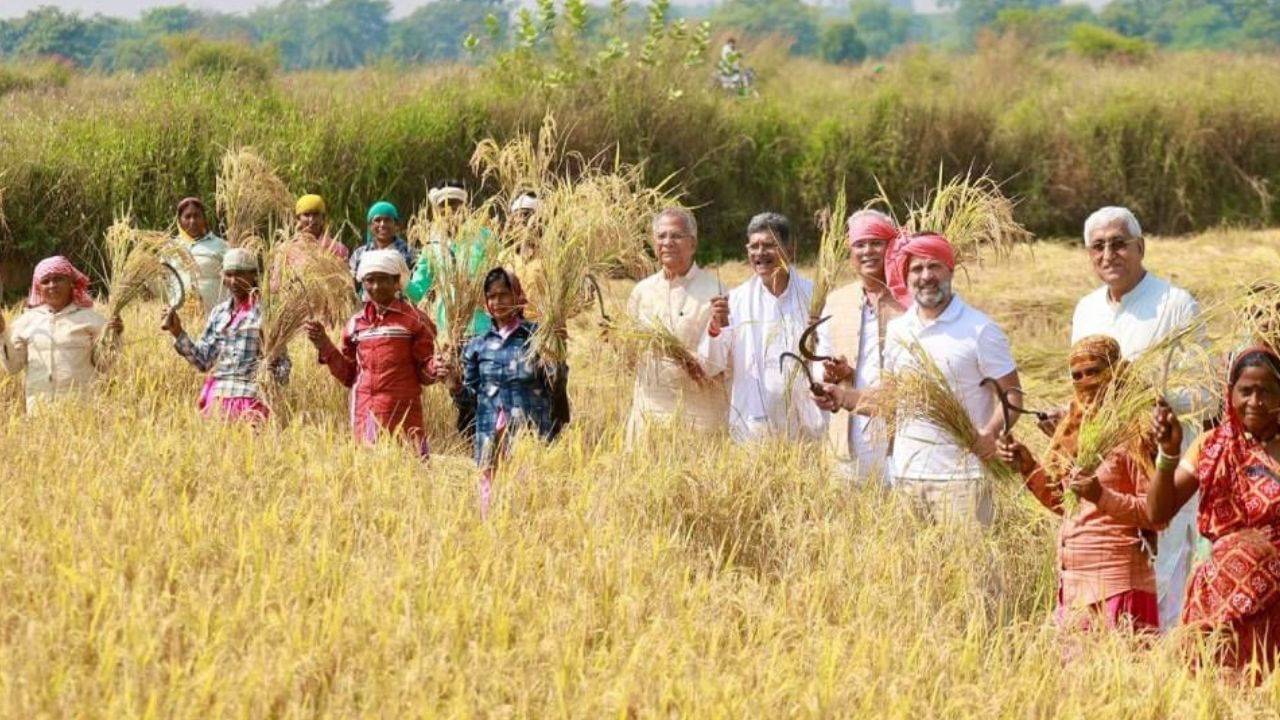 Rahul Gandhi in farm (7)