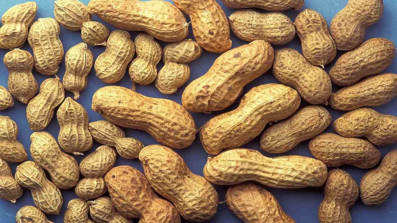 મગફળીમાં સારી માત્રામાં ફાઈબર હોય છે, જે આખા શરીરમાં બળતરા ઘટાડવામાં મદદ કરે છે અને તમારી પાચન તંત્રને સ્વસ્થ રાખવામાં પણ મદદ કરે છે.