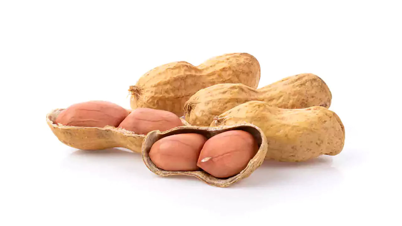 જો કે મગફળી ખાવાના ફાયદાની સાથે તેના નુકસાન પણ છે જેમાં લીવર ડેમેજ થવાનું જોખમ રહે છે. જ્યારે શેકેલી મગફળી ખાવાથી સાંધાનો દુખાવો વધી શકે છે, મગફળી ખાવાથી એસિડિટીની સમસ્યા પણ થઈ શકે છે.  જો તમને એલર્જી હોય તો મગફળીનું સેવન કરવું જોઈએ નહીં.