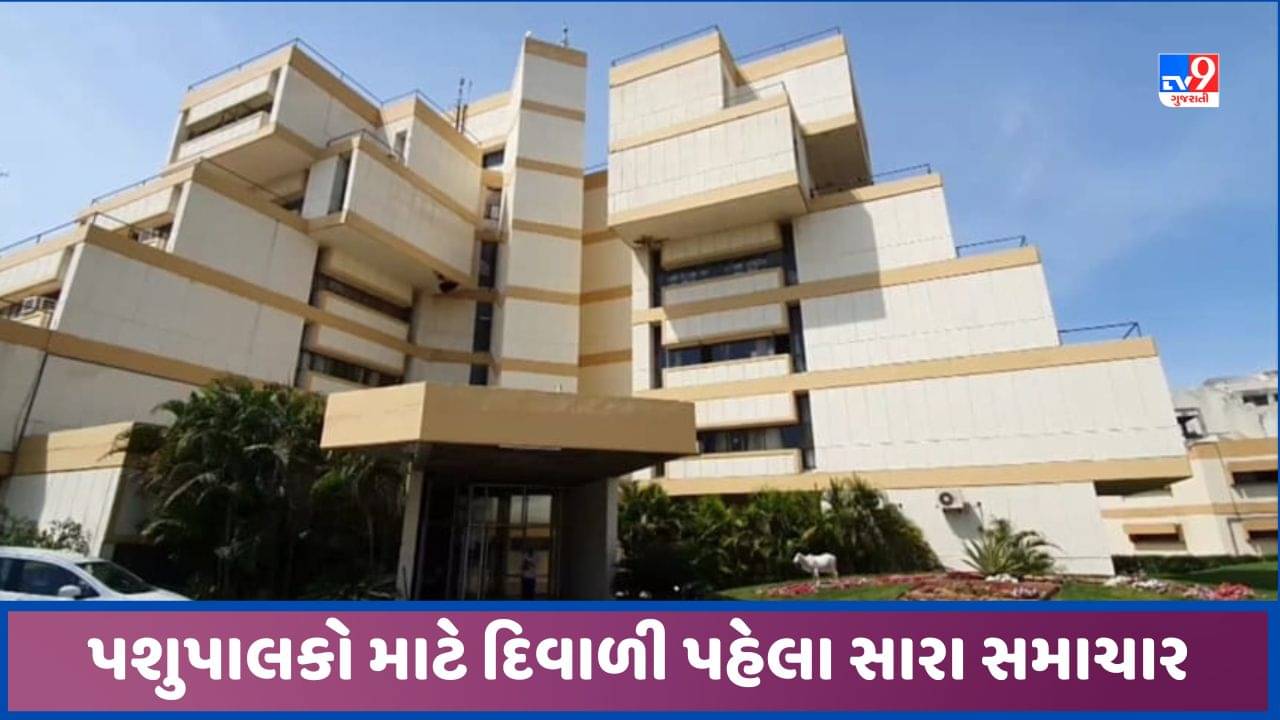 Sabarknatha: પશુપાલકો માટે સારા સમાચાર, સાબરડેરીએ દૂધના ખરીદ ભાવમાં કર્યો વધારો, જાણો