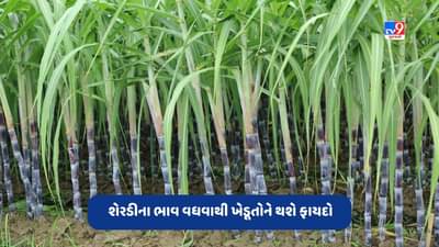 Sugarcane Price: શેરડીના ભાવમાં થઈ શકે છે વધારો, જાણો ખેડૂતોને થશે કેટલો ફાયદો