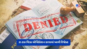 Sweden News: 31 ટકા શેંગેન ટૂરિસ્ટ વિઝા અરજીઓને સ્વીડને કરી રિજેક્ટ Sweden News: 31 ટકા શેંગેન ટૂરિસ્ટ વિઝા અરજીઓને સ્વીડને કરી રિજેક્ટ