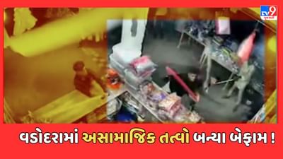 Vadodara Video : ગોત્રીના શ્રીનાથજી કોમ્પલેક્સમાં 8 વ્યક્તિએ વેપારી પર કર્યો હુમલો, મારામારીની ઘટના CCTVમાં કેદ