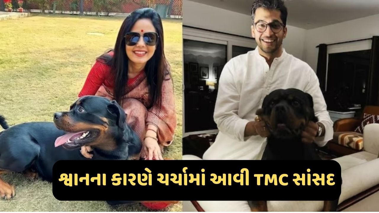 Ankit Avasthi Video: શું અદાણી માટે થયો હતો સંસદનો દુરુપયોગ? TMC સાંસદ મહુઆ મોઇત્રા સાથે જોડાયેલો છે સમગ્ર કેસ? જુઓ Video