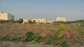 જામનગર મનપાએ માત્ર બગીચા માટે જમીન આપી માન્યો સંતોષ, ન વાવ્યુ એકપણ ઝાડ જામનગર મનપાએ માત્ર બગીચા માટે જમીન આપી માન્યો સંતોષ, ન વાવ્યુ એકપણ ઝાડ