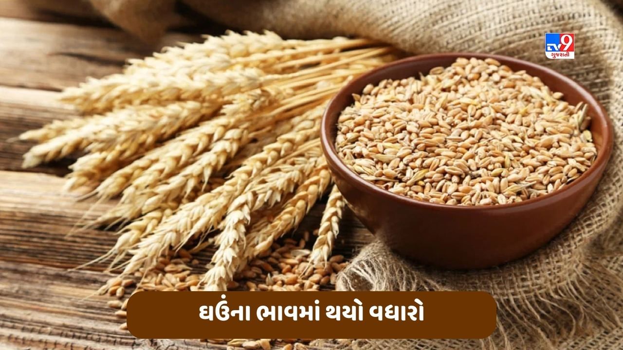 Wheat Price: તહેવારોની સિઝનમાં સામાન્ય જનતાને મોટો ઝટકો, માગ વધવાથી ઘઉંના ભાવમાં થયો વધારો