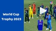 Cricket World Cup 2023 