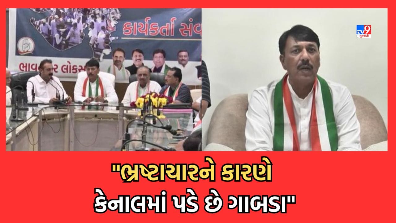Bhavnagar: કેનાલોમાં વારંવાર પડતા ગાબડાને લઈને અમિત ચાવડાનો પ્રહાર, હપ્તાખોરી અને ભ્રષ્ટાચારને કારણે પડે છે ગાબડા-Video Bhavnagar: કેનાલોમાં વારંવાર પડતા ગાબડાને લઈને અમિત ચાવડાનો પ્રહાર, હપ્તાખોરી અને ભ્રષ્ટાચારને કારણે પડે છે ગાબડા-Video
