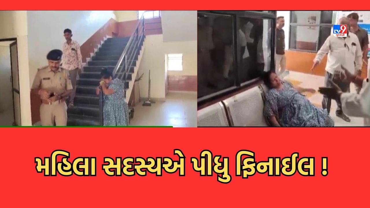 Amreli: ધારી તાલુકા પંચાયતના મહિલા સભ્યએ ફિનાઈલ પીને કર્યો આપઘાતનો પ્રયાસ, ચેરમેન પદે નિમણુક ન થતા હતા નારાજ-Video