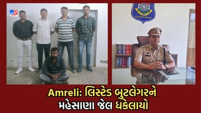 Amreli: 9 ગુન્હાના લિસ્ટેડ બુટલેગરને પાસા હેઠળ મહેસાણા જેલ હવાલે કરાયો, SP અને કલેક્ટર દ્વારા કાર્યવાહી