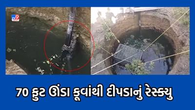 Amreli: જાફરાબાદના રોહિસા ગામે 70 ફુટ ઉંડા કૂવામાંથી દીપડાનું કરાયુ રેસ્ક્યુ, જુઓ Video