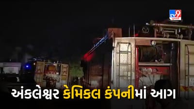Breaking News : Bharuch અંકલેશ્વરની પાનોલી GIDCની કેમિકલ કંપનીમાં લાગી આગ, 7 થી વધુ ફાયર ફાઈટર ઘટના સ્થળે, જુઓ Video