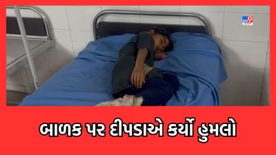 Amreli: રાજુલામાં આદમખોર દીપડાનો આતંક, કાતર ગામમાં 8 વર્ષના બાળક પર કર્યો હુમલો-Video