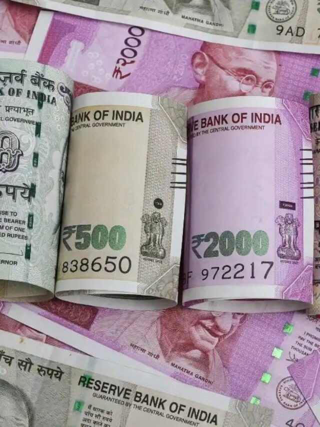 10,000નું રોકાણ કરી શરૂ કરો આ ધંધો થશે લાખોની કમાણી 10,000નું રોકાણ કરી શરૂ કરો આ ધંધો થશે લાખોની કમાણી