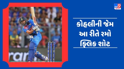 Learn Cricket Video : ફ્લિક શોટ્સ ફટકારી બોલને પહોંચાડો બાઉન્ડ્રી પાર, જાણો તેની ટેકનીક