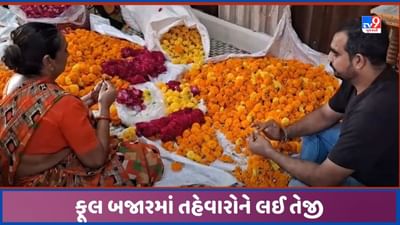 Mehsana: નવરાત્રીની શરુઆત સાથે ફૂલ બજાર 'ગુલાબી', તહેવારોને લઈ એક મહિનો રહેશે તેજી, જુઓ Video