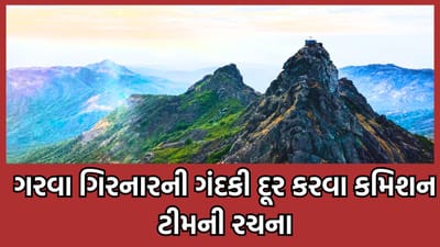 જુનાગઢ: ગિરનાર પર્વત પર થતી ગંદકીની સફાઈ માટે હાઈકોર્ટે કમિશન ટીમની કરી રચના, પ્લાસ્ટિકના ઉપયોગ પર મુકાયો પ્રતિબંધ જુનાગઢ: ગિરનાર પર્વત પર થતી ગંદકીની સફાઈ માટે હાઈકોર્ટે કમિશન ટીમની કરી રચના, પ્લાસ્ટિકના ઉપયોગ પર મુકાયો પ્રતિબંધ