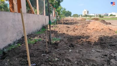 જામનગર શહેરના અન્નપુર્ણા ચોક પાસે આવેલા મહાનગર પાલિકાના બાગ-બગીચા માટે રહેલી જગ્યાને સંસ્થાને વૃ્ક્ષો ઉછેર માટે આપવામાં આવી છે.જે પ્લોટ જુલાઈ 2023ના શ્રી રામચંદ્ર મિશન ટ્રસ્ટને મળતા ત્રણ વર્ષ સુધી જગ્યામાં વૃક્ષોને વાવીને જતનની જવાબદારી સ્વીકારી છે.