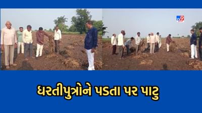 Junagadh: કેશોદ તાલુકાના અજાબ ગામના ધરતીપુત્રોને પડતા પર પાટુ, કમોસમી વરસાદથી પાકને નુકસાન-Video