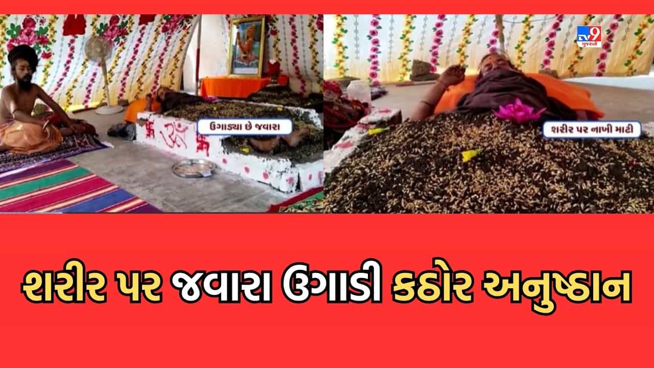 Junagadh: કાશી વિશ્વનાથ મંદિરના સાધુએ શરૂ કર્યા કઠોર અનુષ્ઠાન, નવ દિવસ શરીર પર રહેશે જવારા