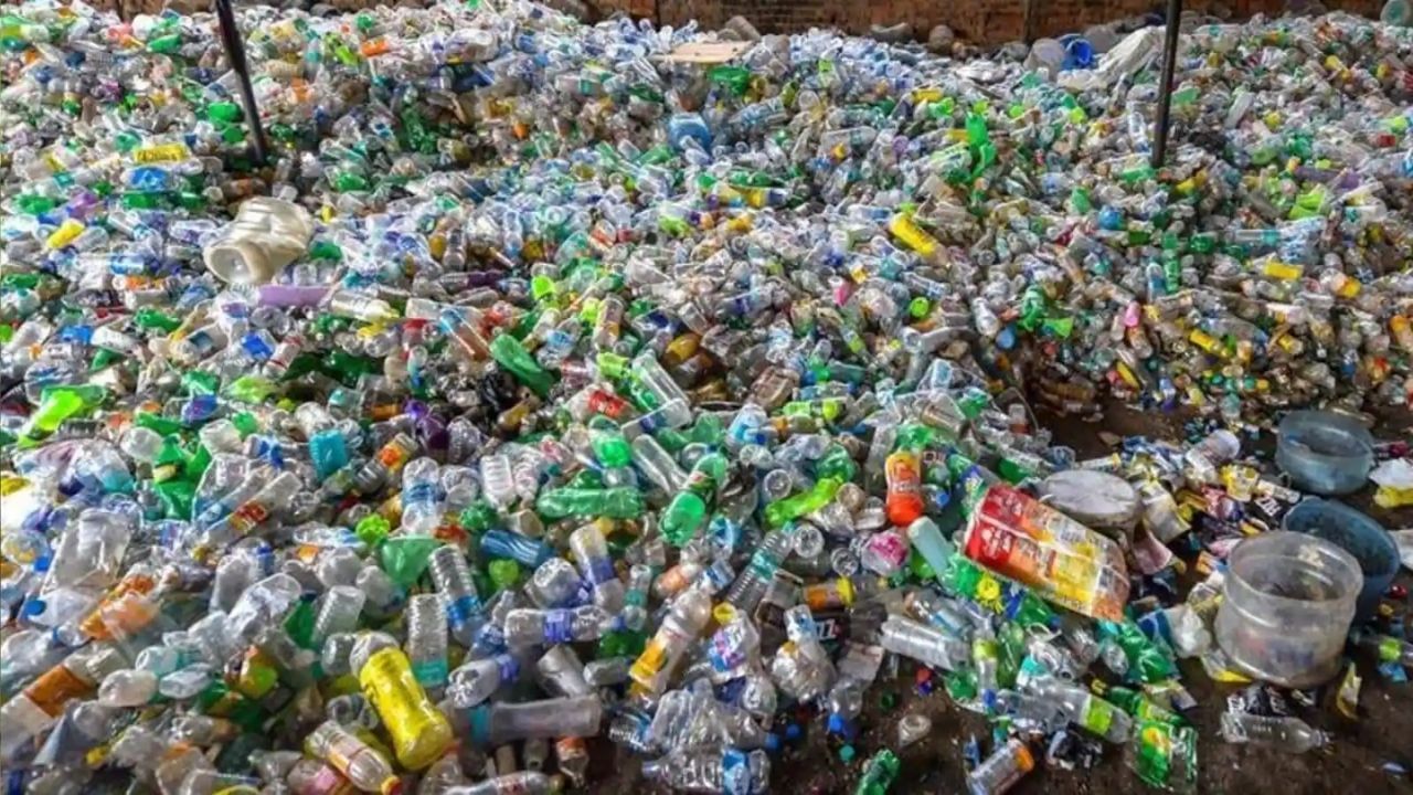 50 વર્ષીય રાજીબેન વણકર પ્લાસ્ટિકના કચરાને પ્રોસેસ કરીને તેમાંથી શોપિંગ બેગ, મોબાઇલ કવર, પર્સ સહિતની વસ્તુઓ બનાવીને વાર્ષિક રૂ.15 લાખનું ટર્નઓવર કરે છે