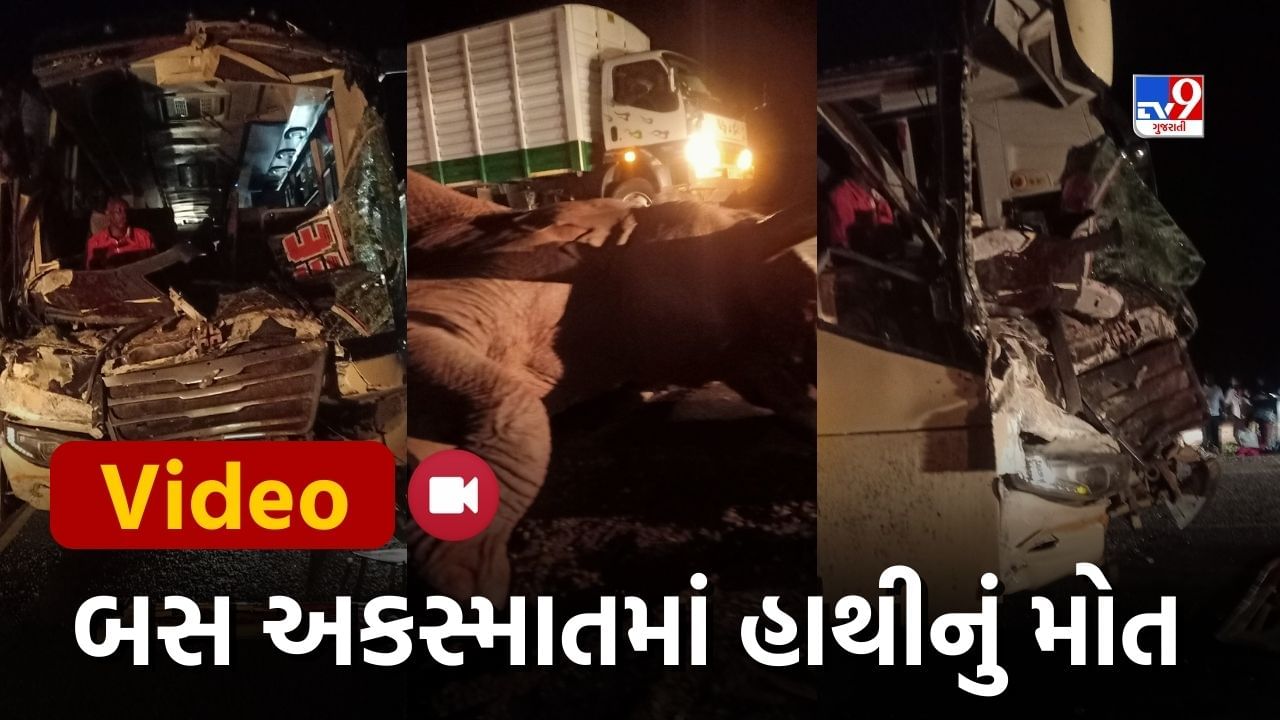 Kenya News : નૈરોબી-મોમ્બાસા હાઈવે પર ગંભીર બસ અકસ્માત, પુરપાટ ઝડપે આવી રહેલી બસ હાથી સાથે અથડાઇ, હાથીનું ઘટના સ્થળે મોત, જુઓ Video