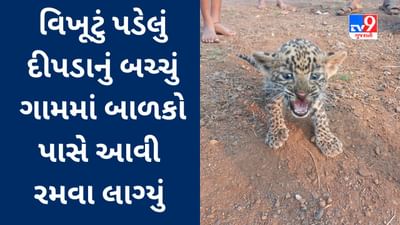 Bharuch : વનવિસ્તારના 3 જિલ્લામાં દીપડાએ દેખા દીધી, ડાંગમાં વિખૂટું પડેલું બચ્ચું બાળકો પાસે આવી રમવા લાગ્યું , જુઓ Video