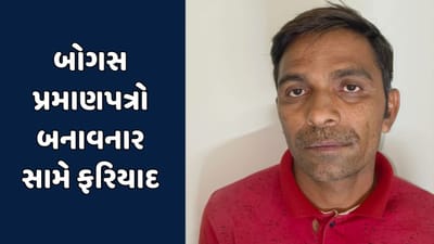 મહીસાગરમાં અનુસૂચિત જનજાતિના બોગસ પ્રમાણપત્રો બનાવવાના કેસમાં ડિટવાસ ગ્રામ પંચાયતના બે સભ્યો સામે ફરિયાદ મહીસાગરમાં અનુસૂચિત જનજાતિના બોગસ પ્રમાણપત્રો બનાવવાના કેસમાં ડિટવાસ ગ્રામ પંચાયતના બે સભ્યો સામે ફરિયાદ