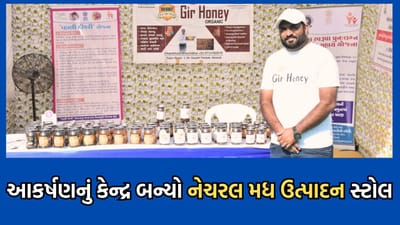 ગીર સોમનાથ: વાઈબ્રન્ટ ગીર સોમનાથ ઈવેન્ટમાં નેચરલ મધ ઉત્પાદન સ્ટોલે જમાવ્યુ આકર્ષણ- જુઓ વીડિયો