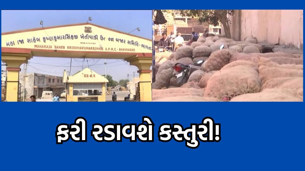Bhavnagar : ડુંગળીના ભાવમાં ફરી ભડકો, 50 રૂપિયો કિલો વેચાઈ રહી છે ગરીબોની કસ્તુરી- Video Bhavnagar : ડુંગળીના ભાવમાં ફરી ભડકો, 50 રૂપિયો કિલો વેચાઈ રહી છે ગરીબોની કસ્તુરી- Video