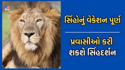 Junagadh: સિંહ પ્રેમીઓ આનંદો, સાસણ સફારી પાર્ક 4 મહિનાના વેકેશન બાદ ફરી મુકાયુ ખુલ્લુ-Video Junagadh: સિંહ પ્રેમીઓ આનંદો, સાસણ સફારી પાર્ક 4 મહિનાના વેકેશન બાદ ફરી મુકાયુ ખુલ્લુ-Video