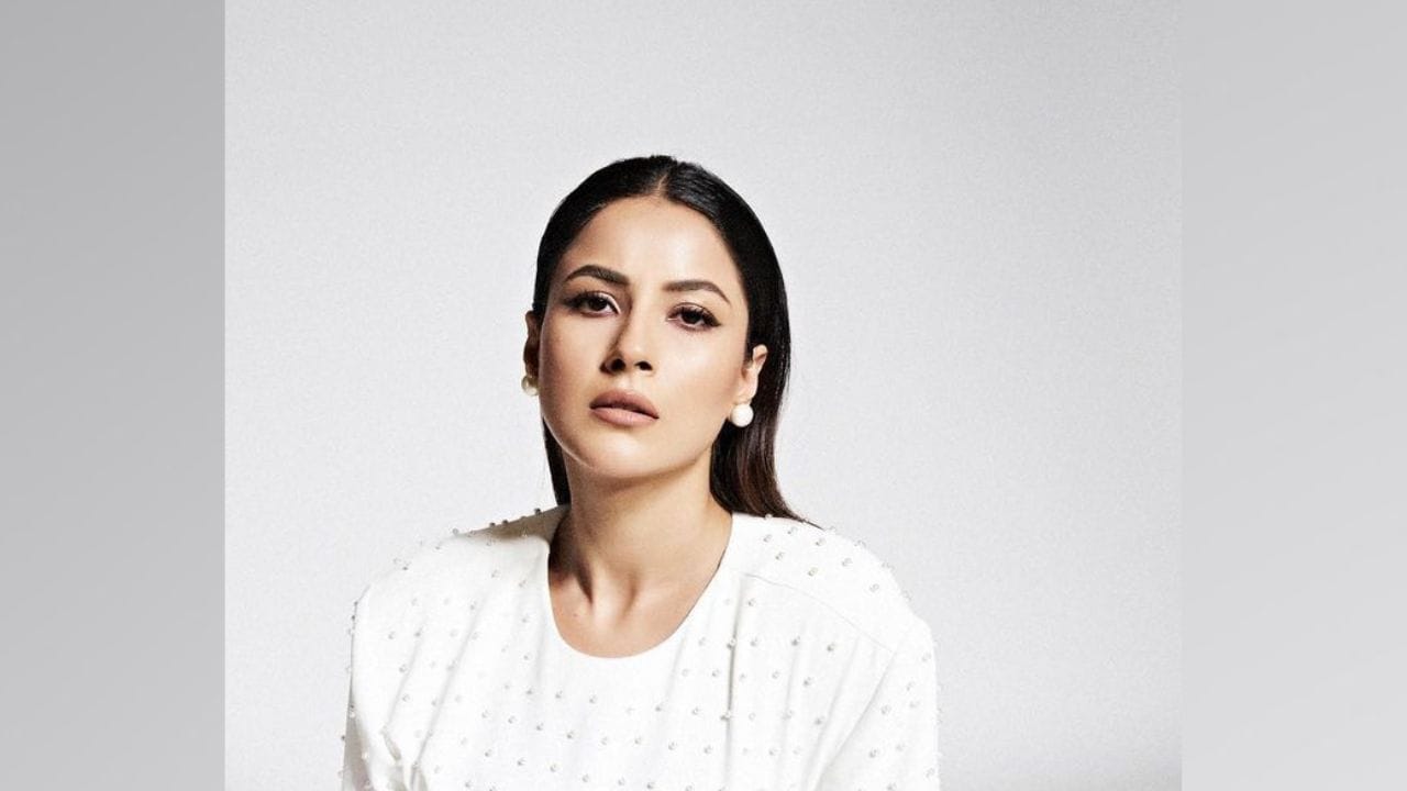 તેણીનો ડ્રેસ સફેદ મોતીથી શણગારવામાં આવ્યો છે. અભિનેત્રીએ ડ્રેસ સાથે મેચ થતી કાનમાં બુટ્ટી પહેરી છે. (Photos: @shehnaazgill/instagram)