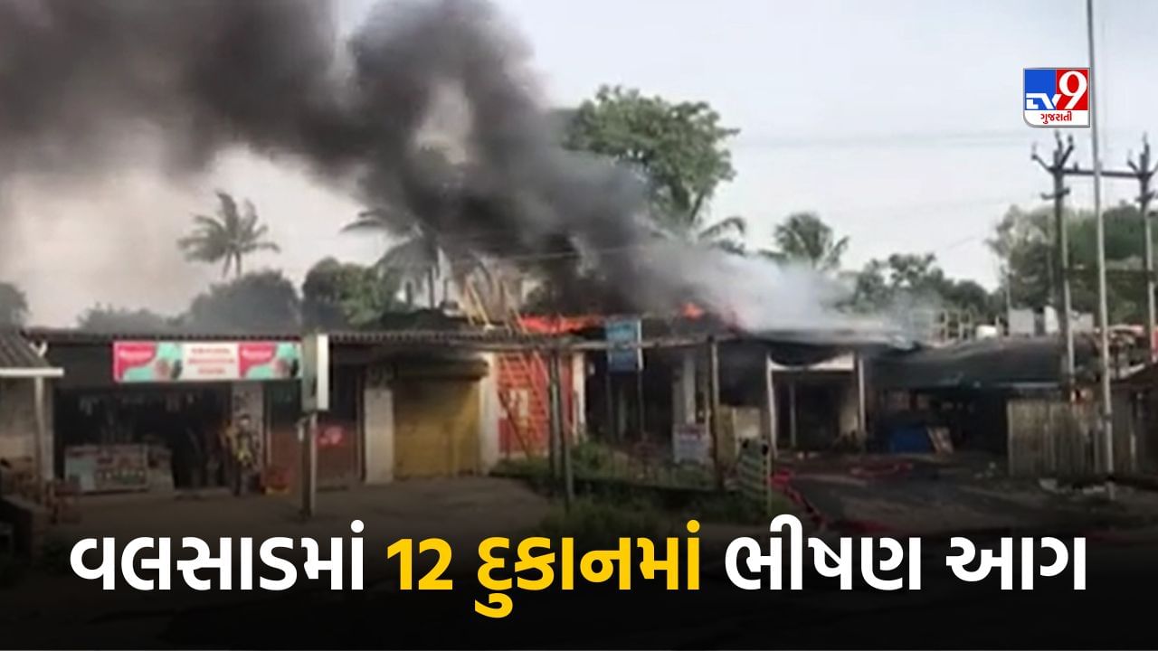 Valsad Breaking News : વલસાડમાં સુગર ફેકટરી સામે આવેલી 12 દુકાનમાં ભીષણ આગ, એકનું મોત