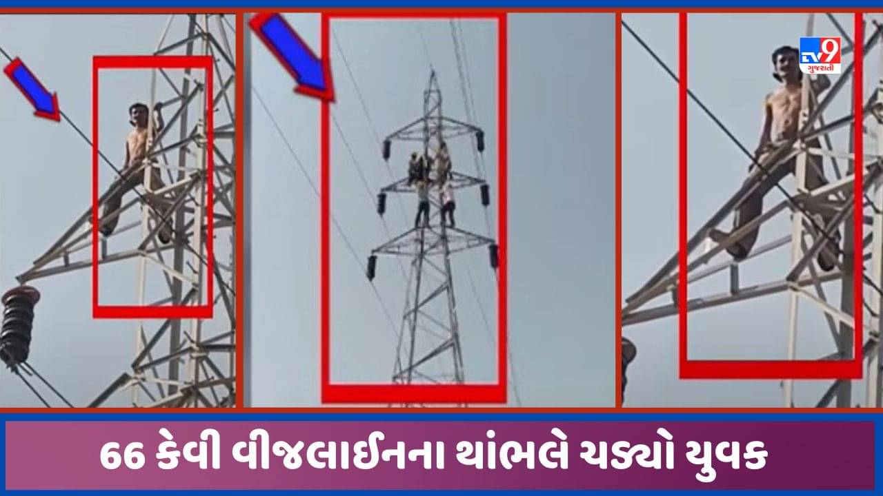 Gandhinagar: હાઈટેન્શન વીજલાઈનના થાંભલે ચડ્યો યુવક, 10 કલાક બાદ સમજાવટથી માંડ ઉતર્યો, જુઓ Video
