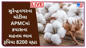 સુરેન્દ્રનગરના ચોટીલા APMCમાં કપાસના મહત્તમ ભાવ રૂપિયા 8200 રહ્યા સુરેન્દ્રનગરના ચોટીલા APMCમાં કપાસના મહત્તમ ભાવ રૂપિયા 8200 રહ્યા
