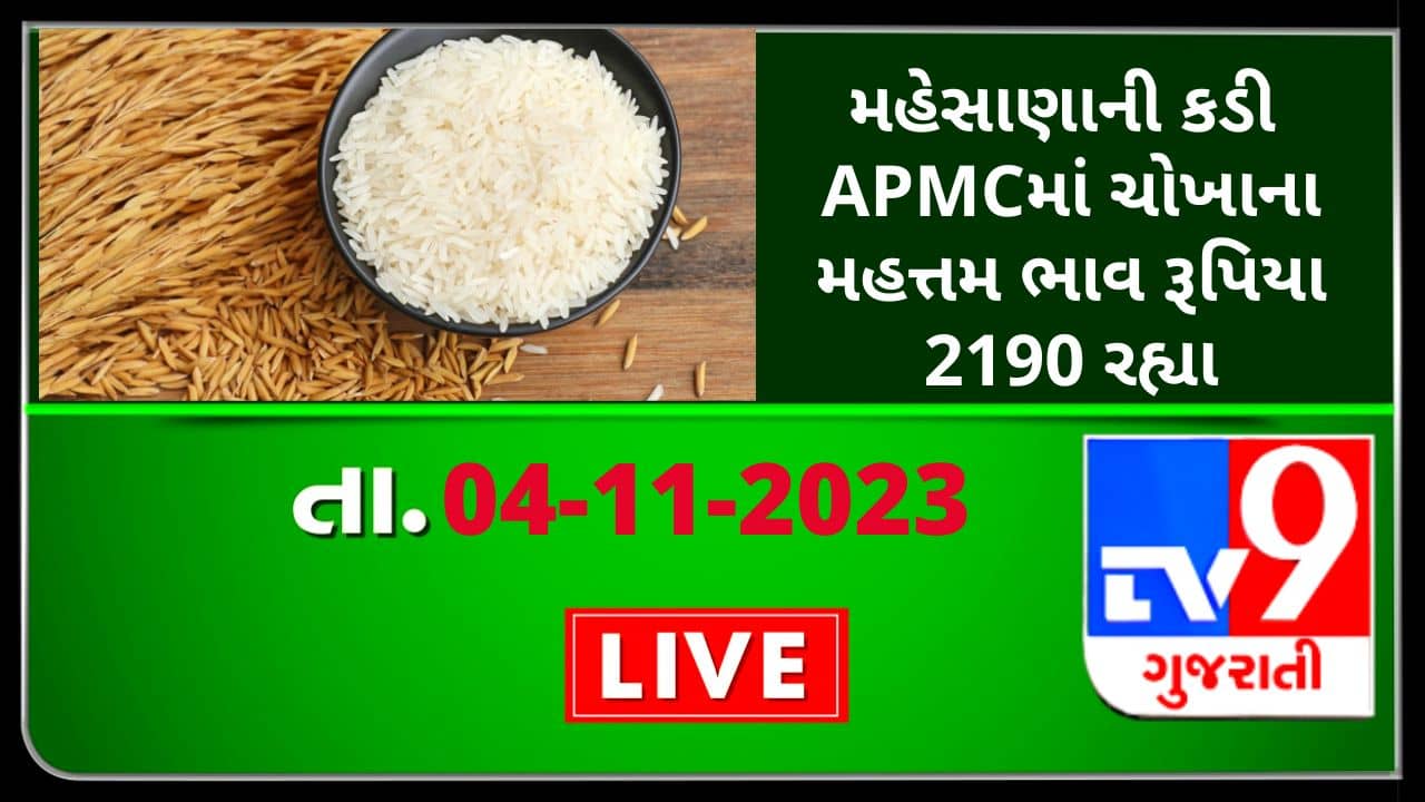 Mandi : મહેસાણાની કડી APMCમાં ચોખાના મહત્તમ ભાવ રૂપિયા 2190 રહ્યા, જાણો જુદા-જુદા પાકના ભાવ