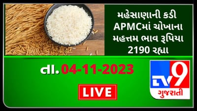 Mandi : મહેસાણાની કડી APMCમાં ચોખાના મહત્તમ ભાવ રૂપિયા 2190 રહ્યા, જાણો જુદા-જુદા પાકના ભાવ Mandi : મહેસાણાની કડી APMCમાં ચોખાના મહત્તમ ભાવ રૂપિયા 2190 રહ્યા, જાણો જુદા-જુદા પાકના ભાવ